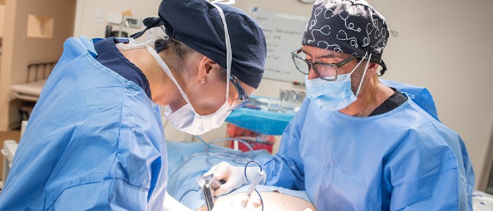 Mastopexy-Implant-Exchange